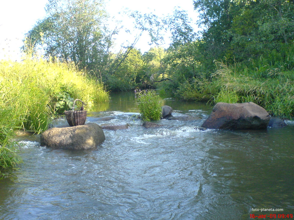 Тульша разбушевалась