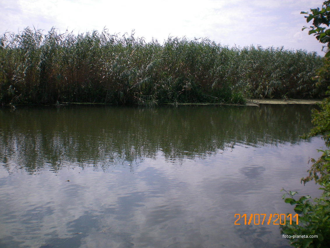 р.Северский Донец(окрестности с.Кицевка)