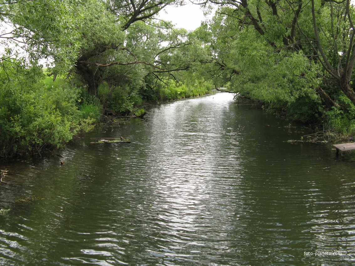 река осетр близ деревни новоселки