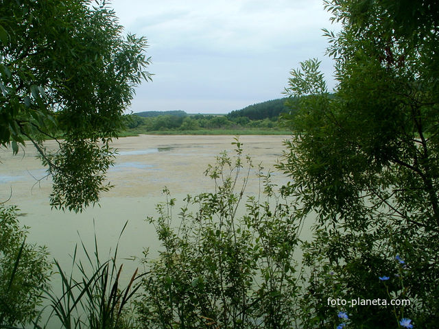 Вид на Барский пруд с плотины