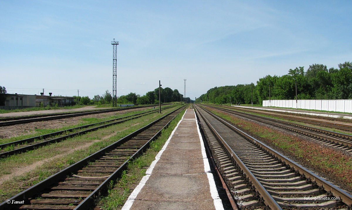Станция Козенки (город Мозырь)