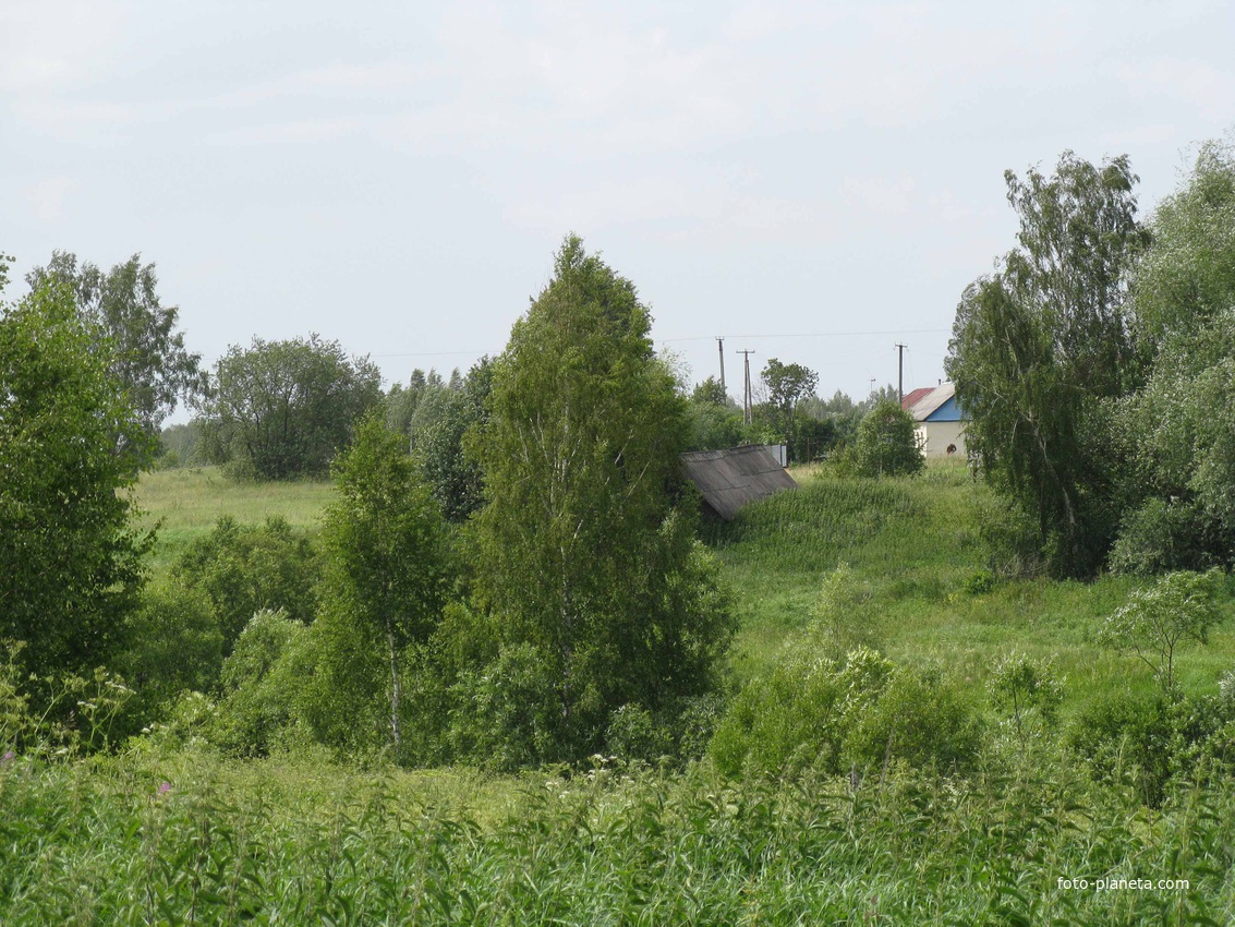 Деревня Новоселки, вид с противоположной слободы.