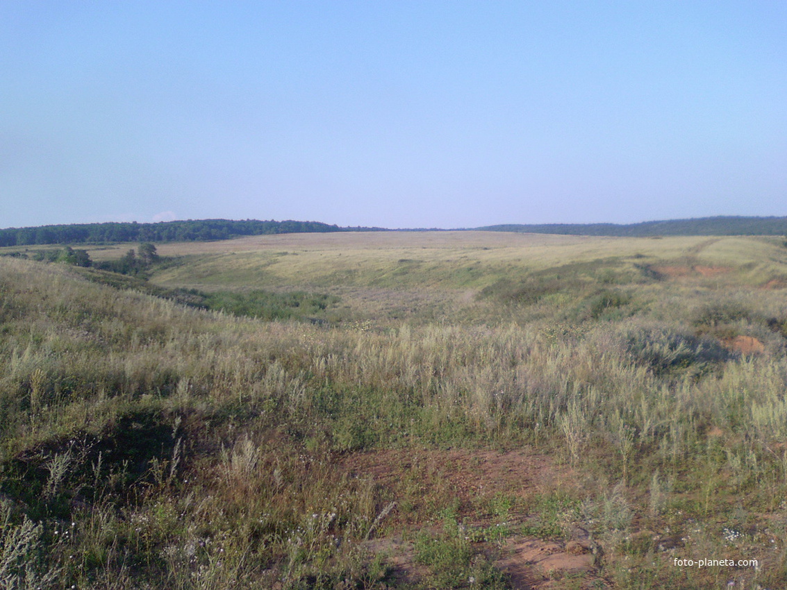 падение мечты