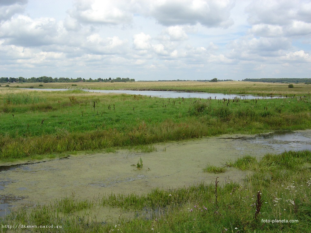 Вода, кругом вода