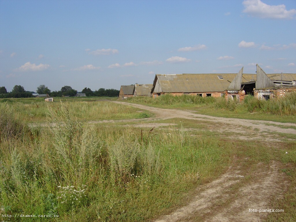 Озеро брус стародубский район