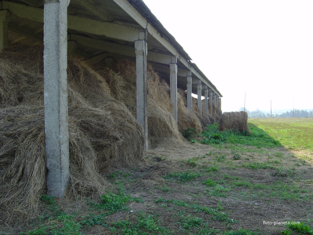 Запасы запасены