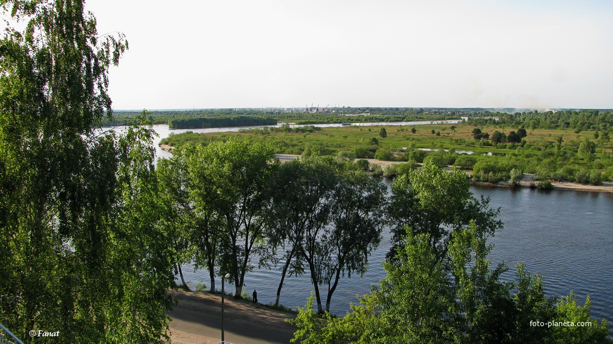 Река Припять, вид в сторону Петрикова