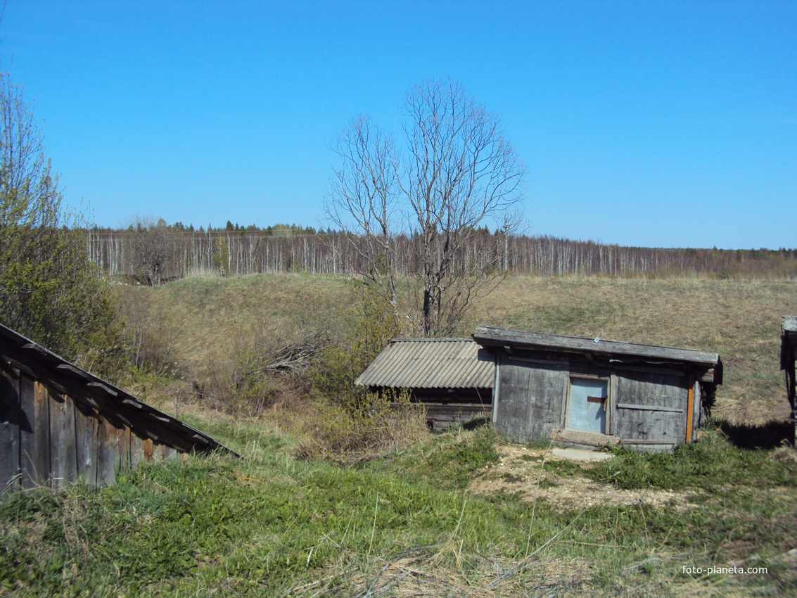 деревня Давыдовская
