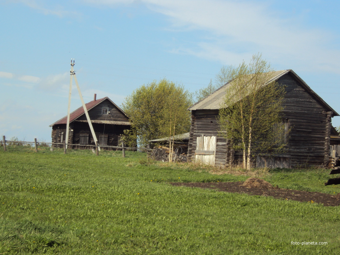 деревня Давыдовская