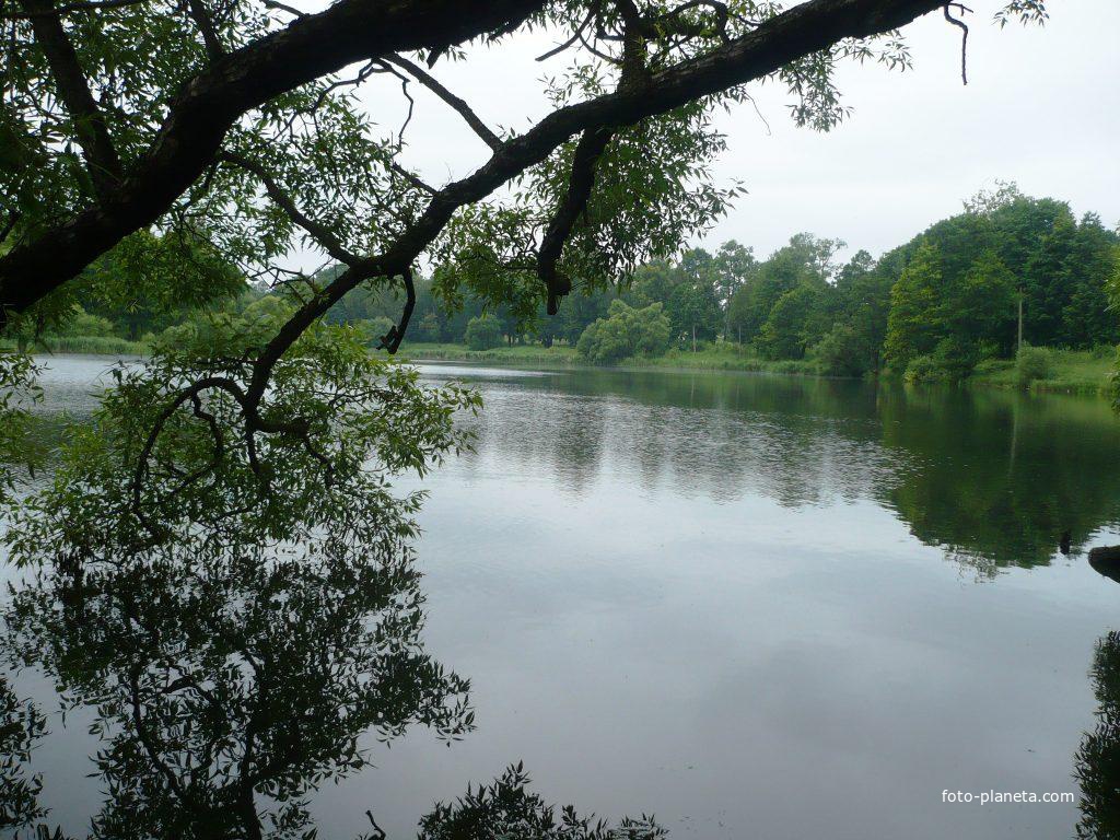 Парковский пруд