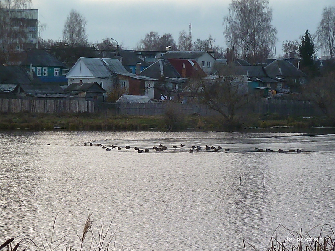 оз.Кучеровское (первый ледок)