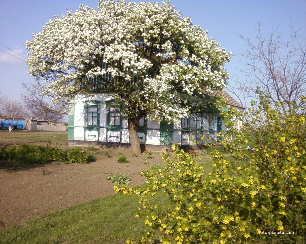 Весна в Александровке