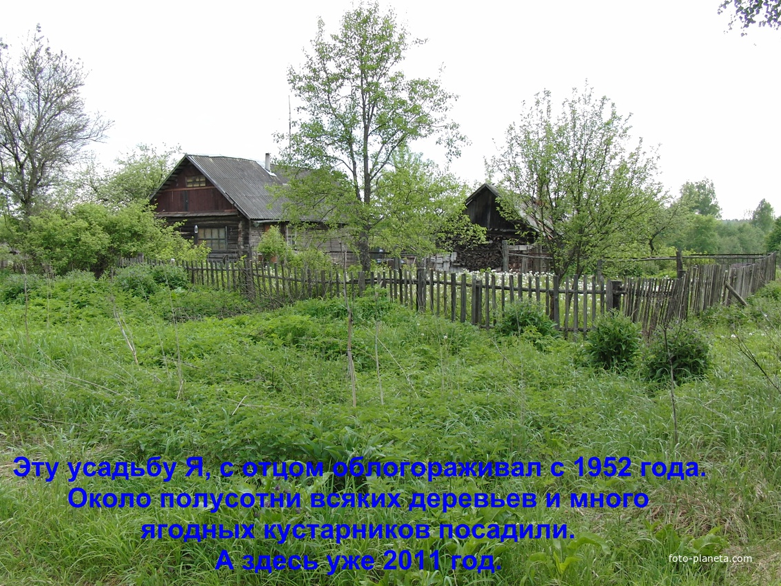 Усадьба семьи Герциковых