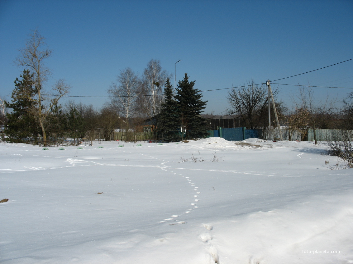 Зимний день 8 марта 2012 года