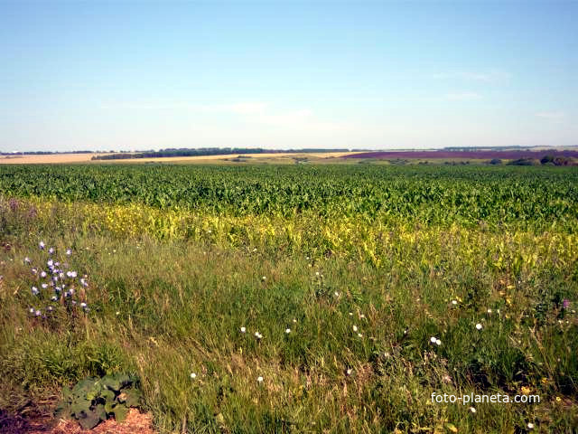 Вид на Кисловку и Булычево с дороги