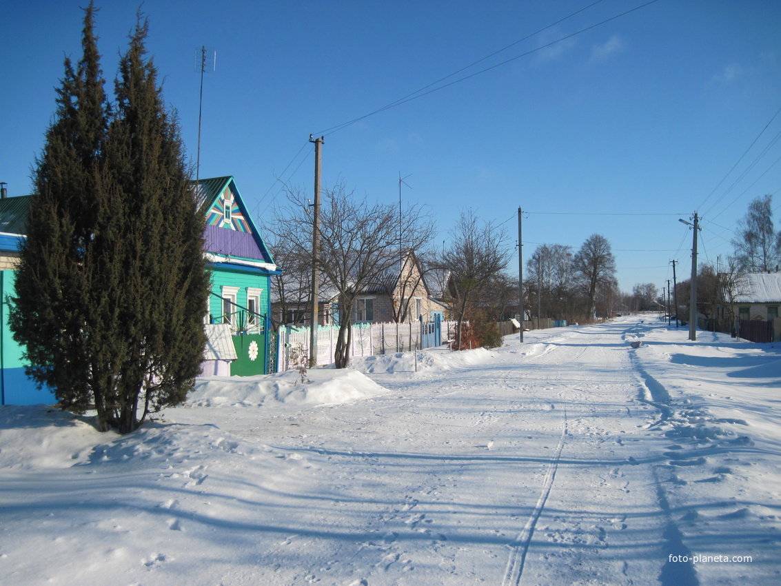 улица Западная зимой 2