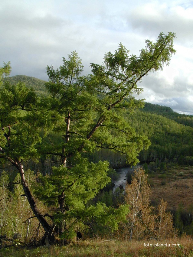 Долина реки Будюмкан