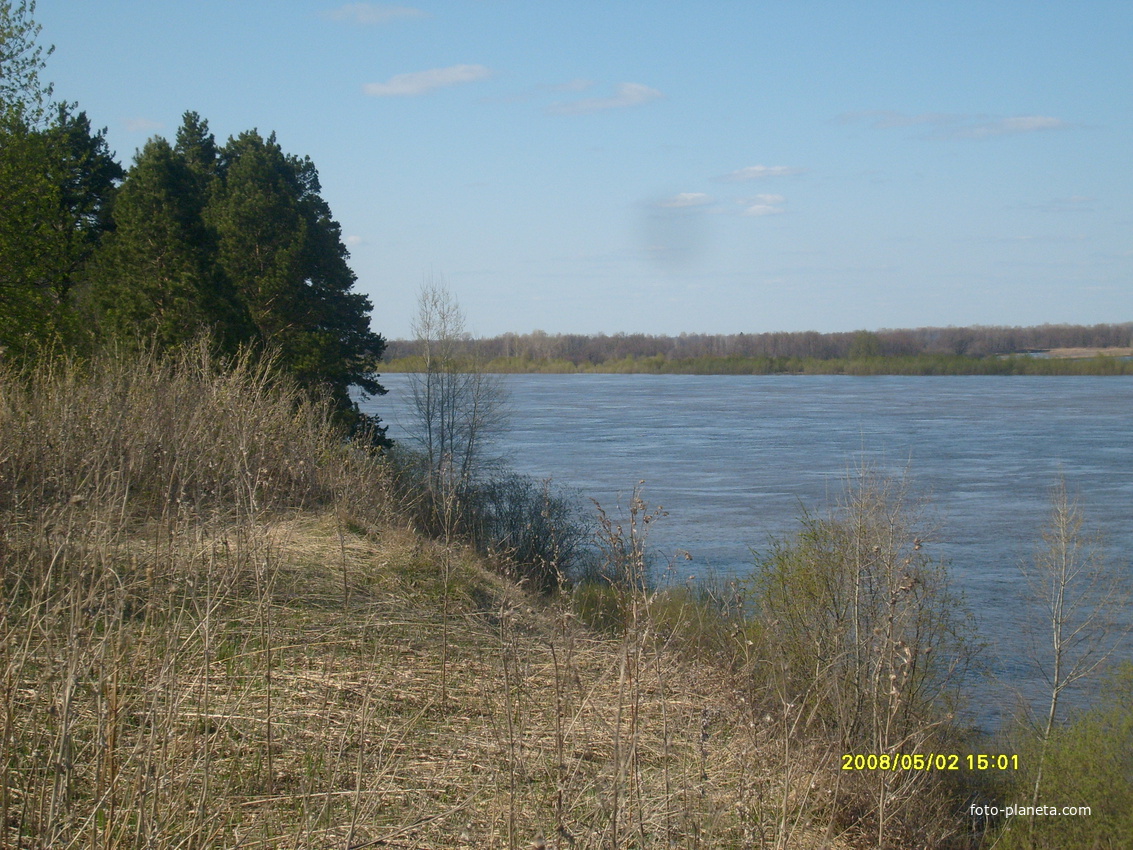 Вид на луга с Заготзерно