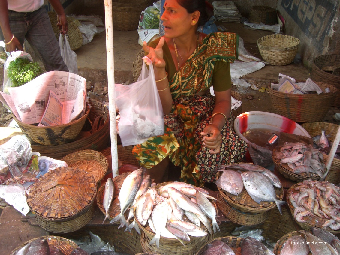 Colva, Goa, India Свежая  Рыбка
