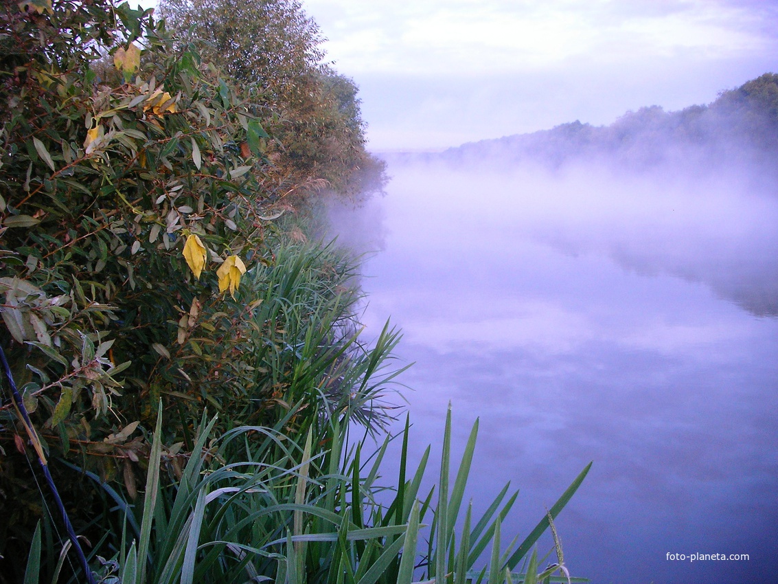 Бежит река в тумане слушать. Синий туман над рекой. Туман над рекой. Туман над речкой. Плывут туманы над рекой.