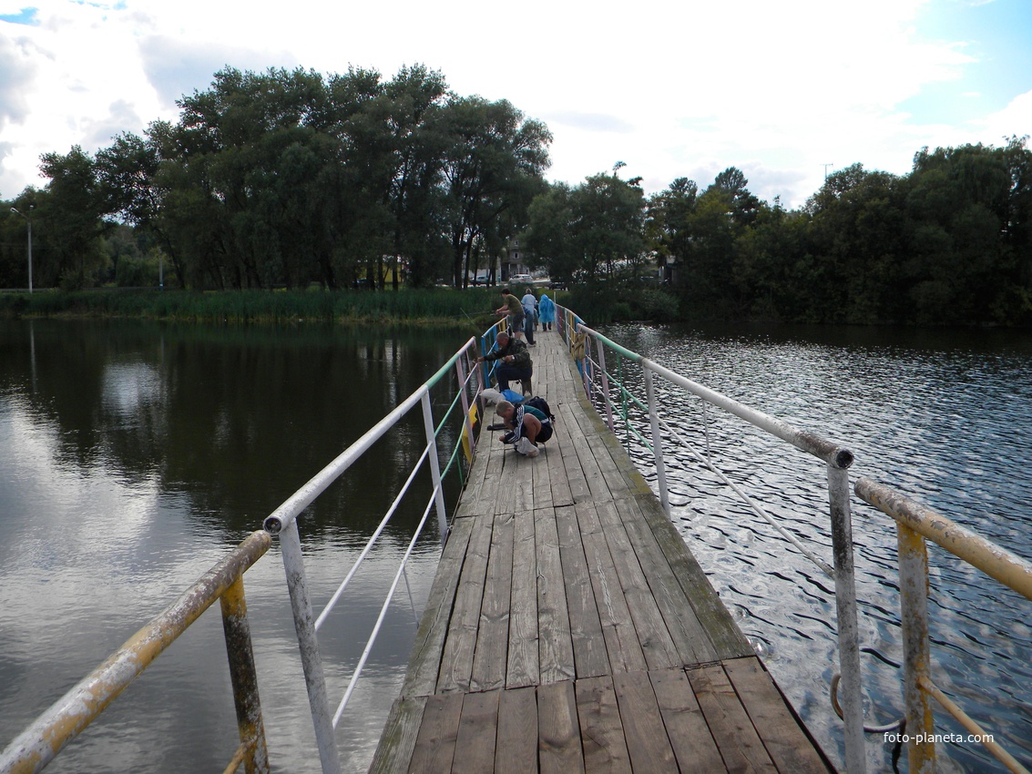 Пруд в поселке Ивня