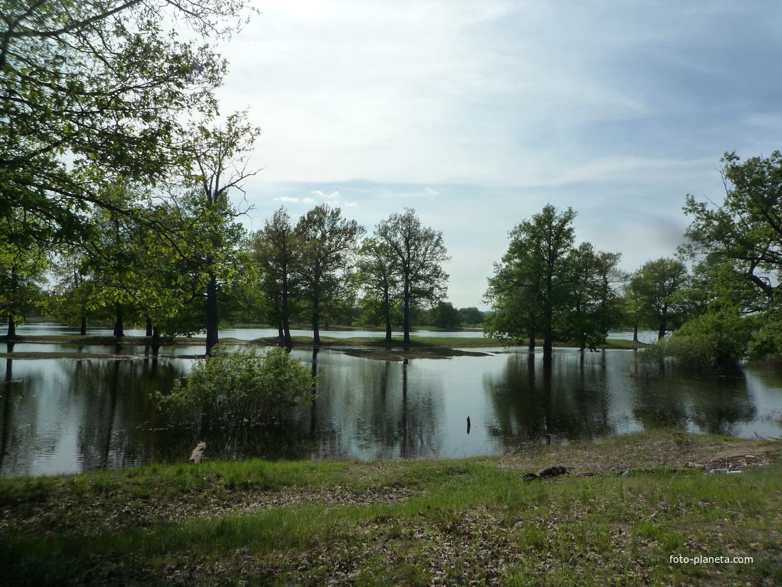дубрава Шикш весной