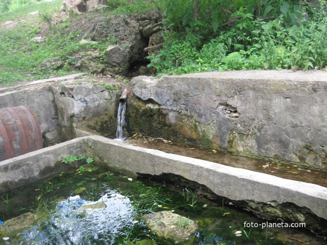 Вербка, левада