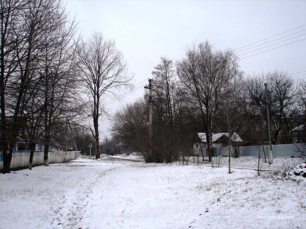 Зима 2011 (слева за кадром школа)
