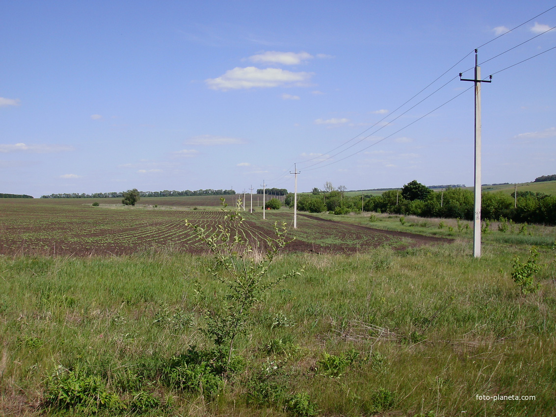 Село тракторное. Чигирин ферма Тракторная бригада. Тракторная бригада Карабаш. Район Чернобаевка. Семибалки Тракторная бригада.