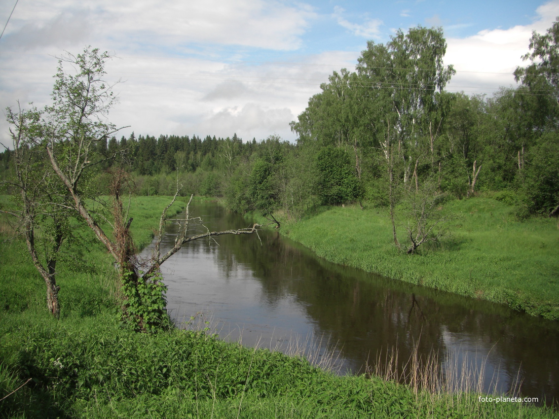 Река Ухтохма под горкой, с. Чернцы