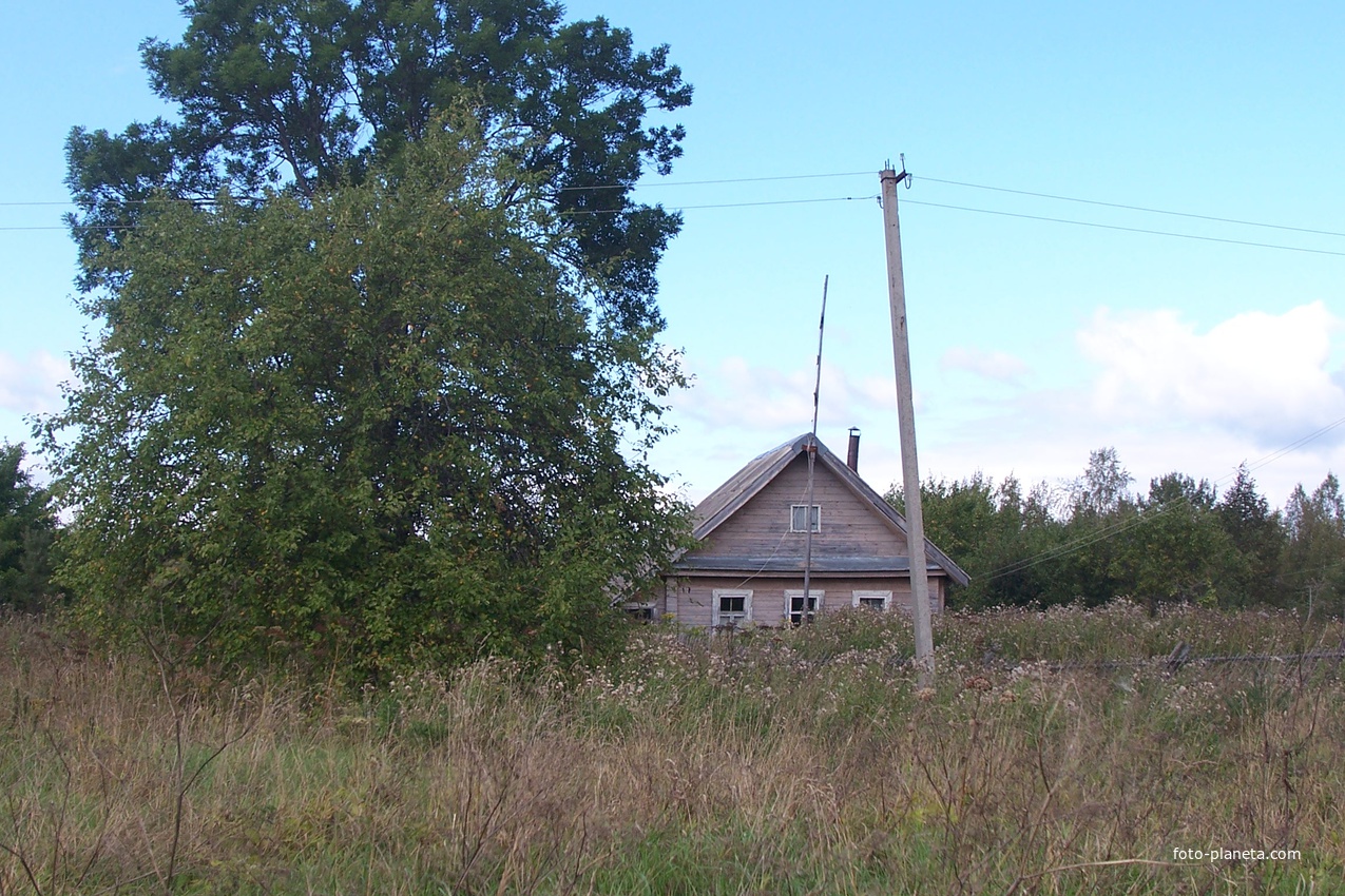 деревня Быльчино, август 2012 года