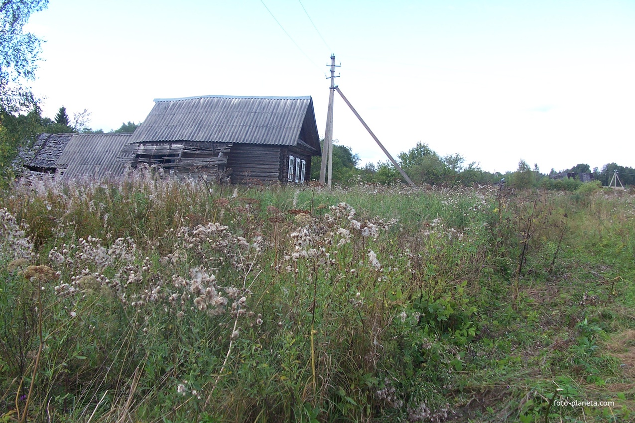 деревня Быльчино, август 2012 года