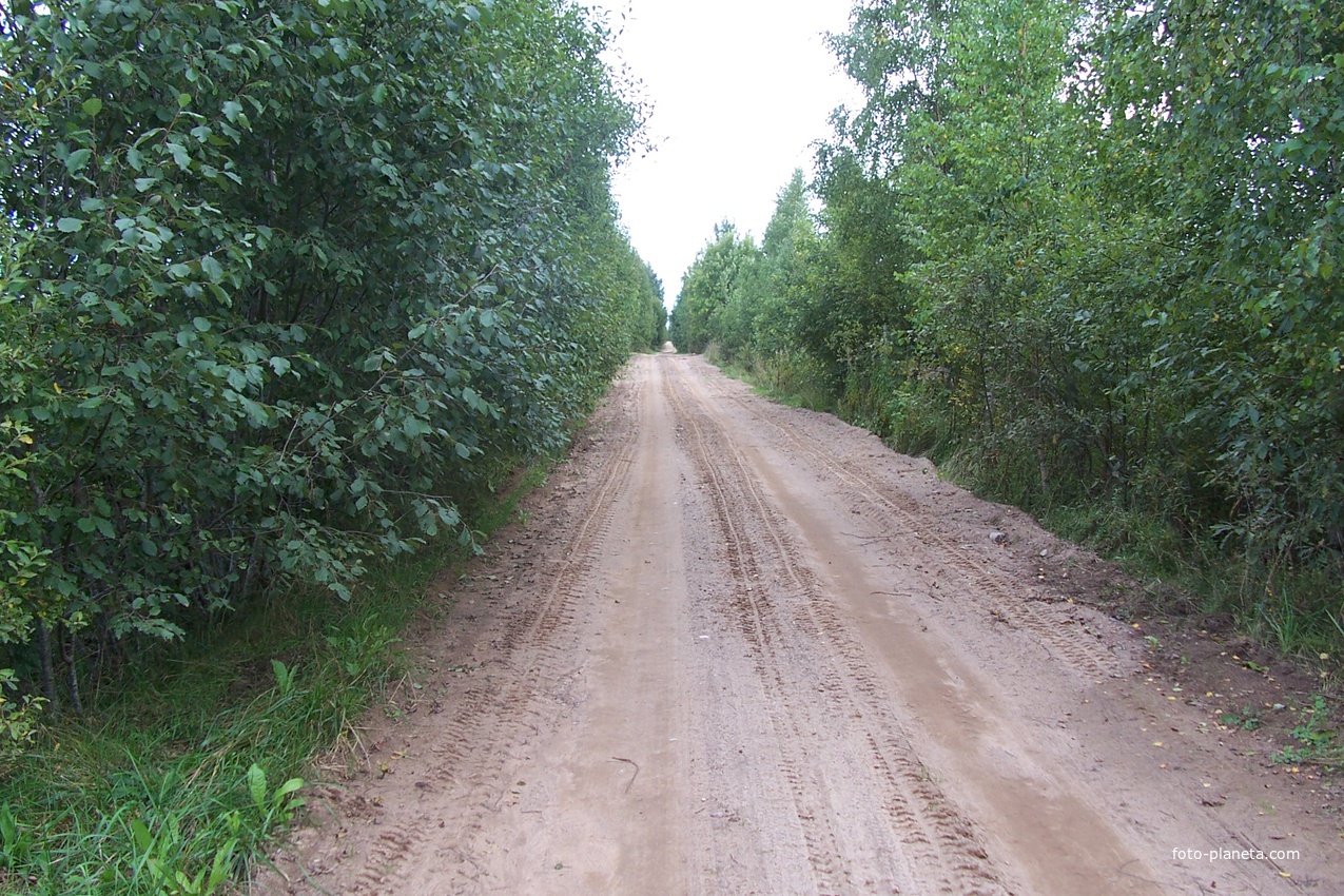 дорога из Сосниц в Быльчино, август 2012 года