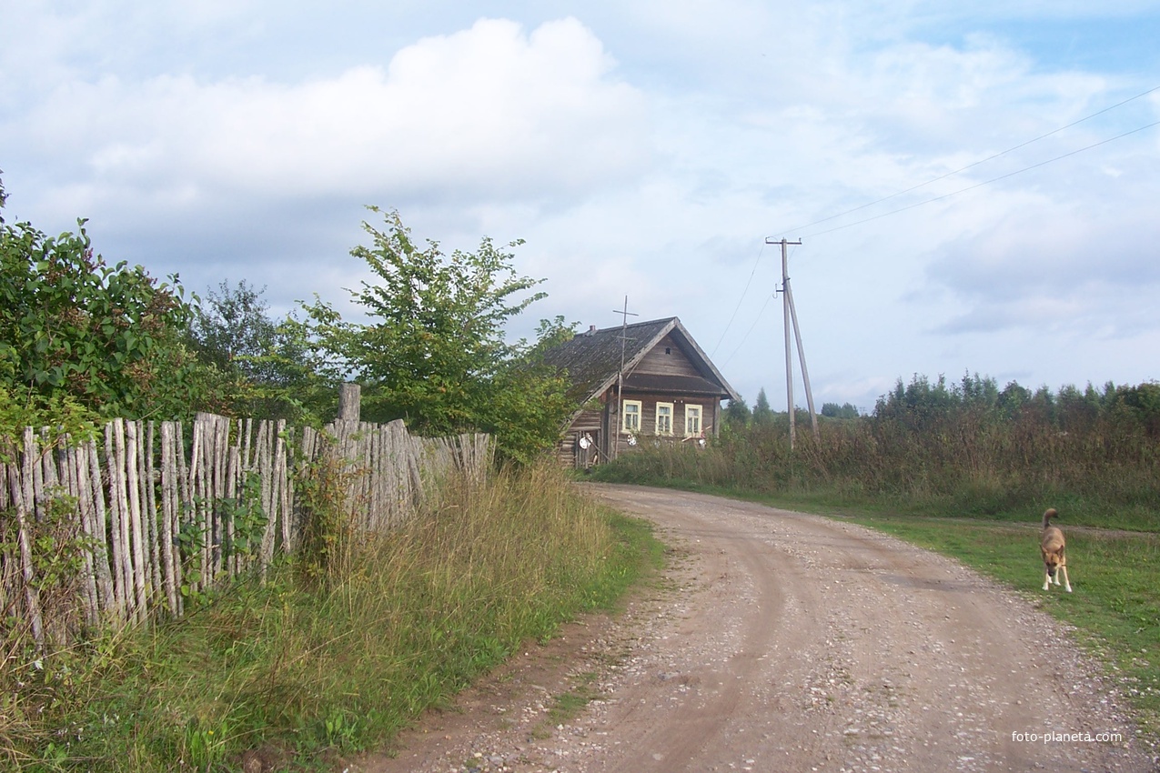 деревня Гостевщина, август 2012 года