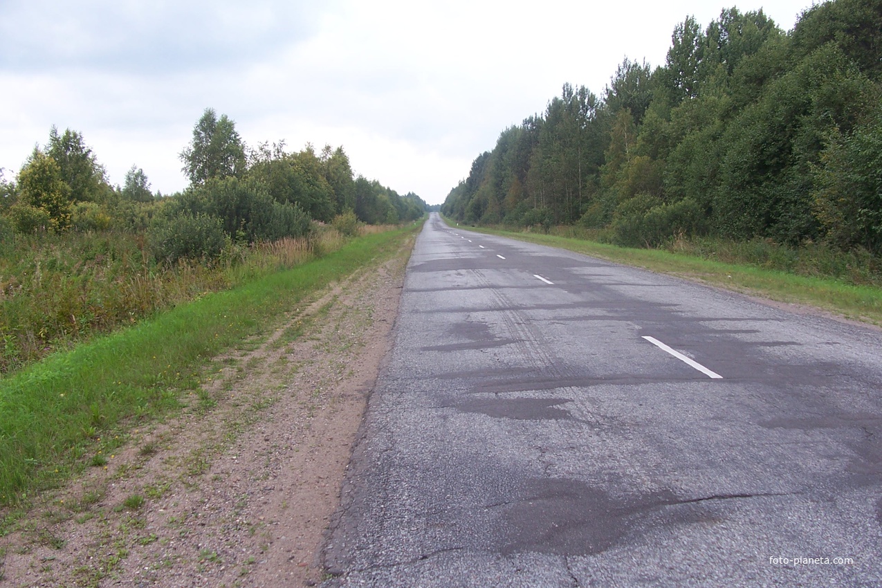 дорога Яжелбицы-Демянск, место у выезда из Гостевщины, направление в сторону Лутовёнки,до которой  около 5 км