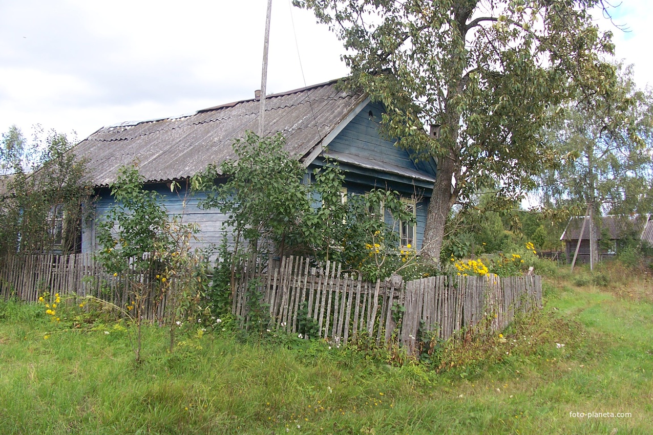 деревня Петрово-Сосницы ( Секратово), дом Прокофьевых, август 2012 года