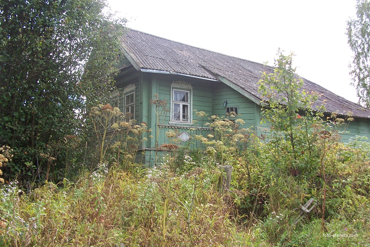 дом в деревне Петрово-Сосницы ( Секратово), август 2012 года