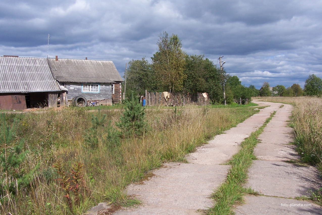 деревня Сосницы Валдайского района, август 2012 года, дорога в Секратово