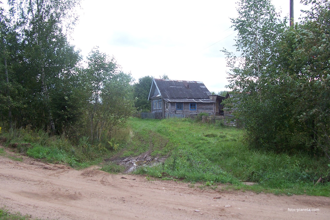 деревня Сосницы Валдайского района, август 2012 года
