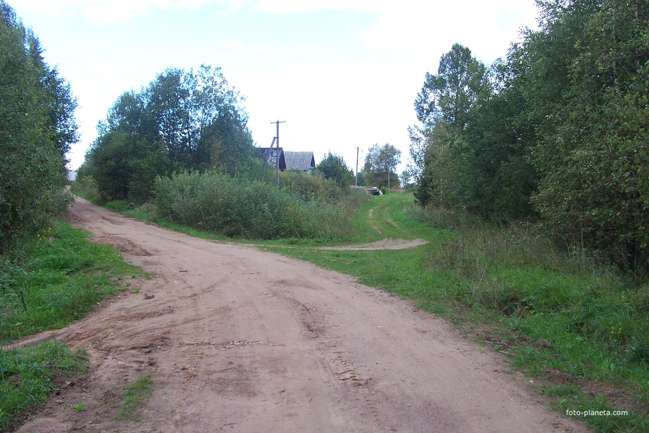 деревня Сосницы Валдайского района, август 2012 года, начало дороги в Быльчино