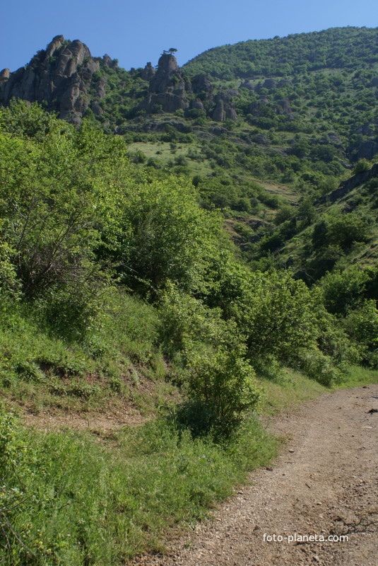 Коровья тропа