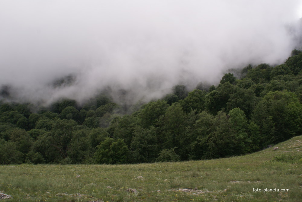 гора Босна