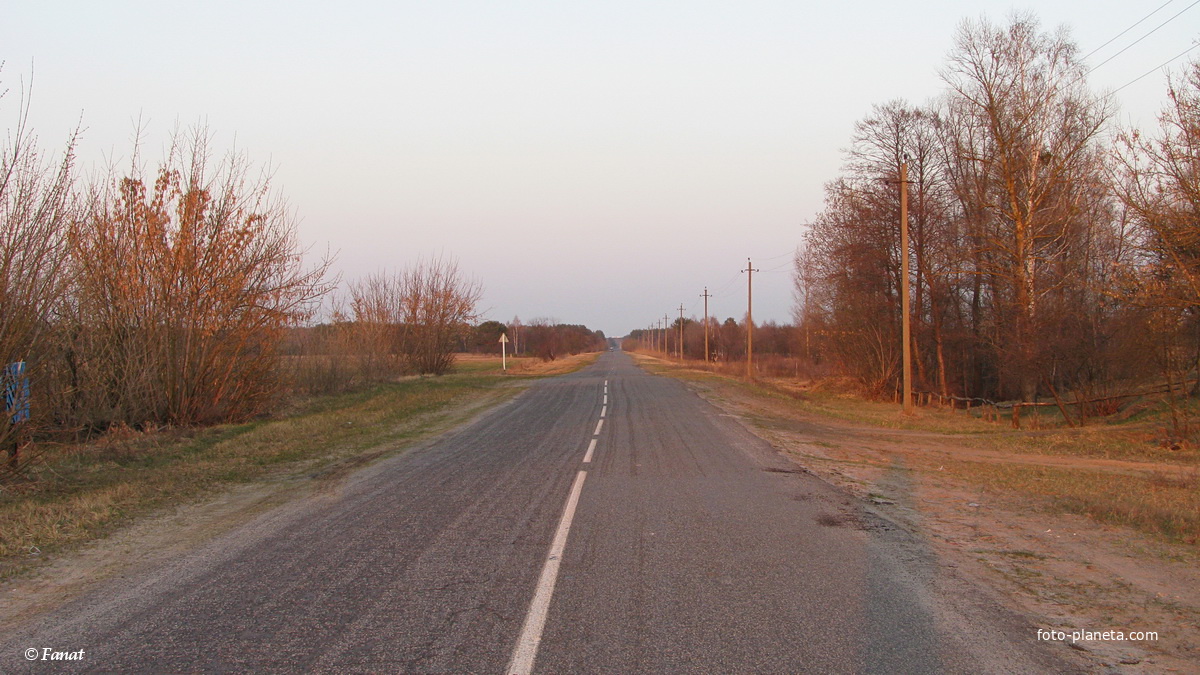 Дорога в сторону автомагистрали М10 Кобрин - Гомель