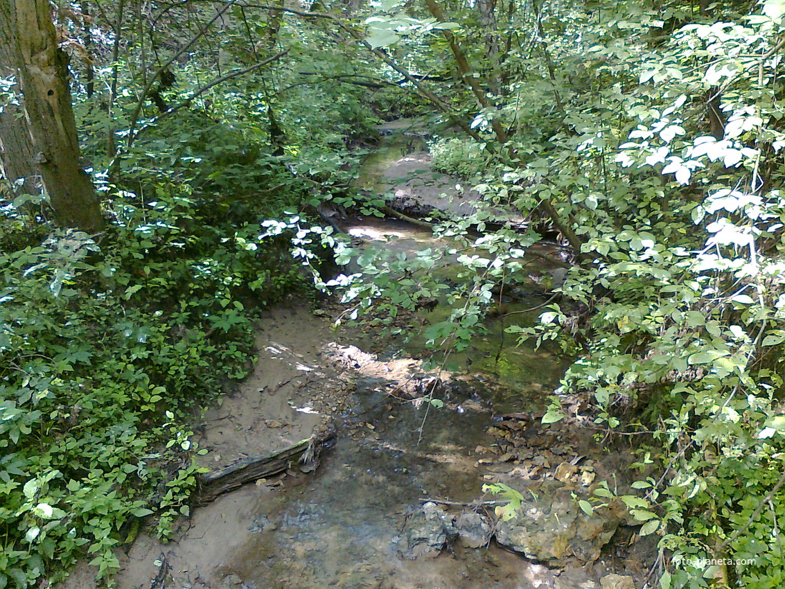 ручей в лесу