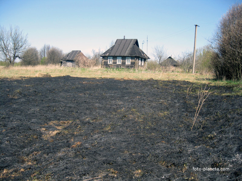 Свистогузово. Пожар. Май 2009