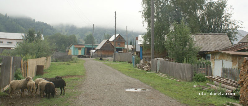 Улица в посёлке