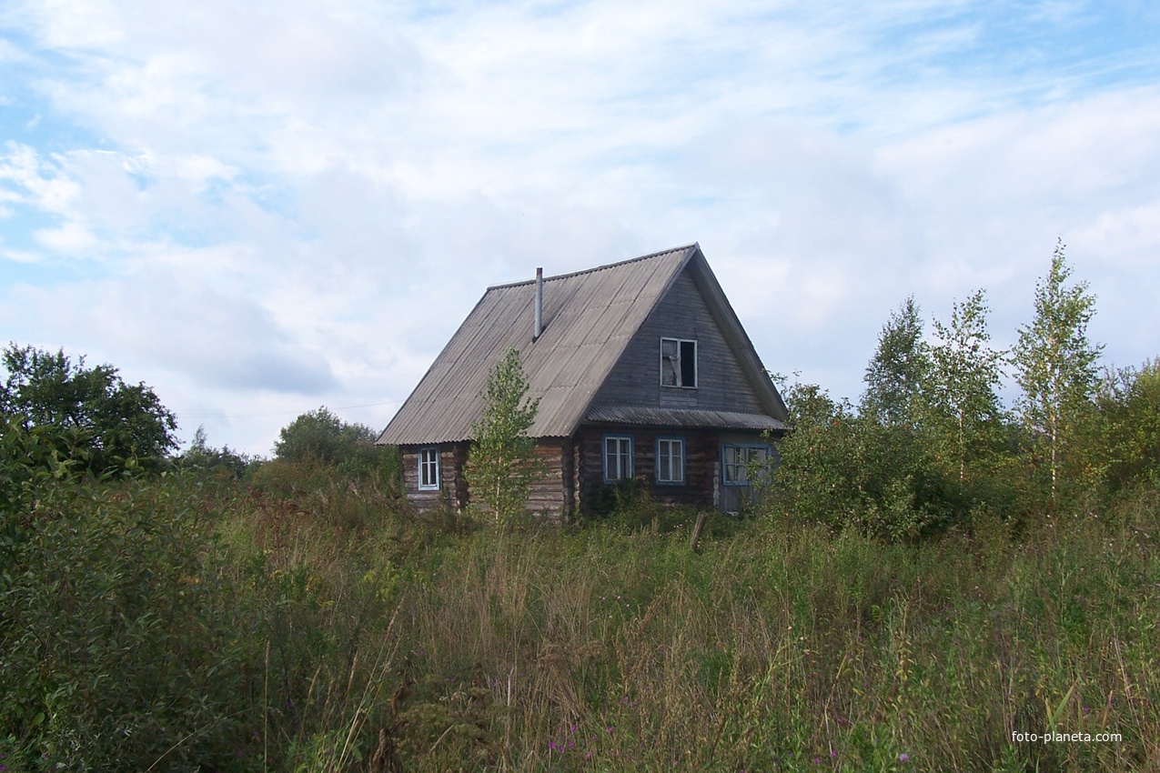 деревня Долматово Валдайского района, август 2012 года