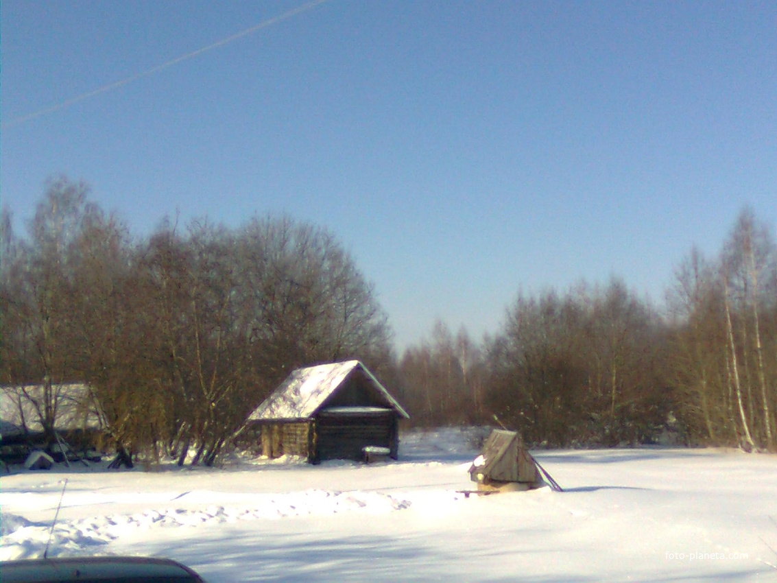 деревня Заболотье зимой