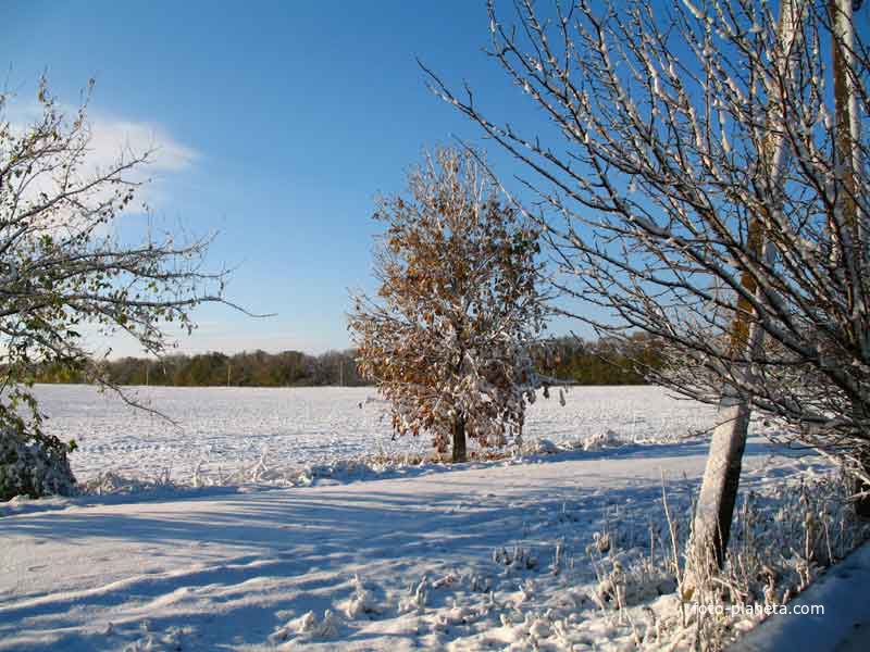 Зимняя сказка