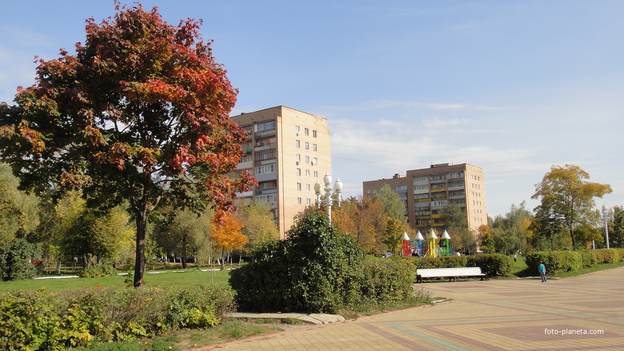 Осенний клён